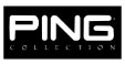 PING logo